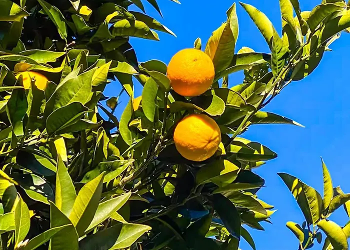 بيت للعطل Casa Bijoux كانوبيو